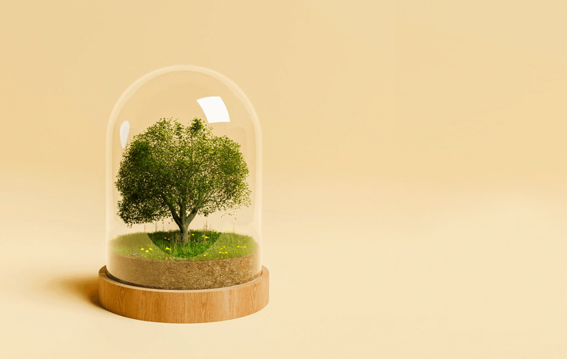 Marka Mimarligi Nedir